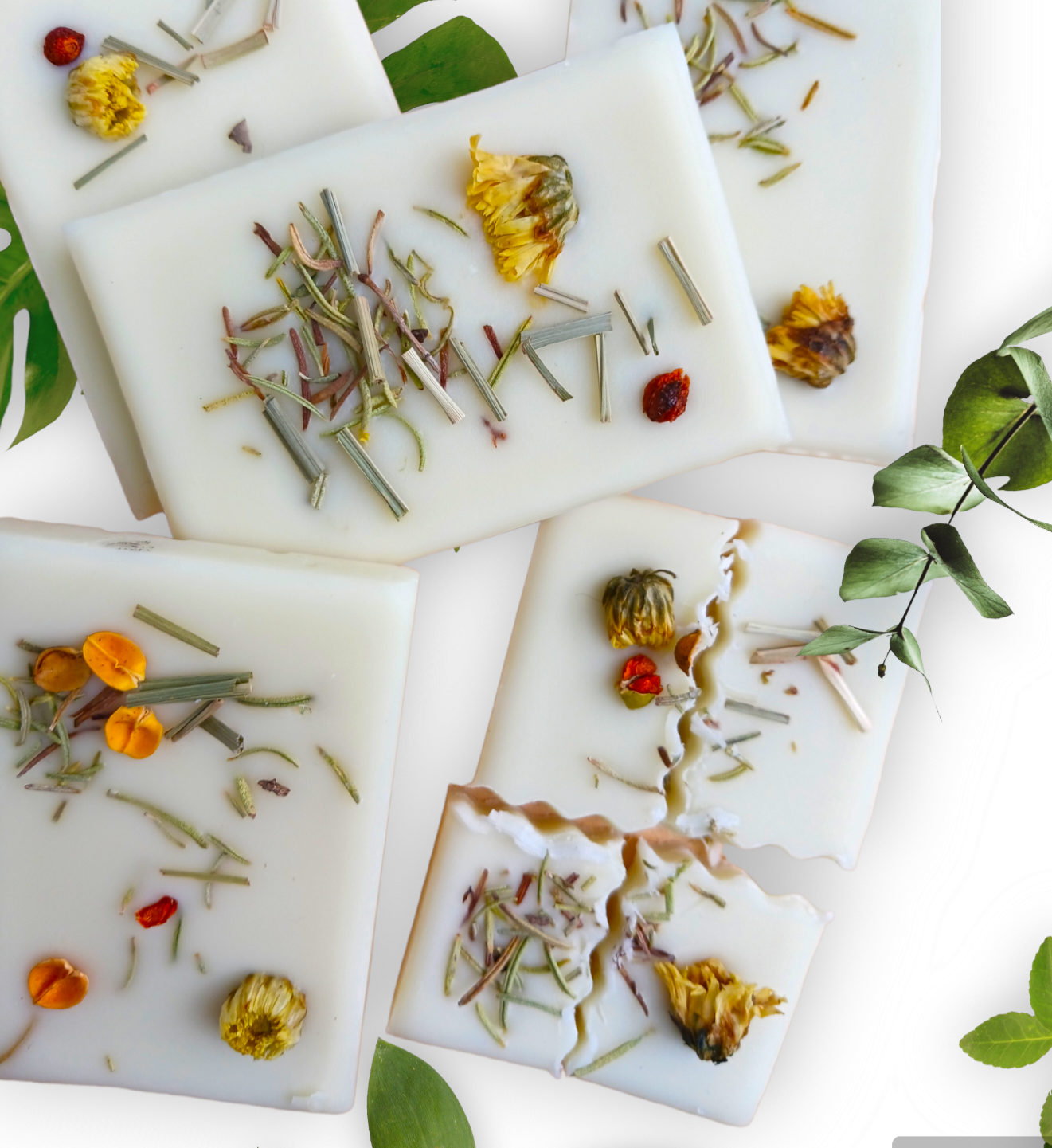 Wax melts Citronella & Eucalyptus