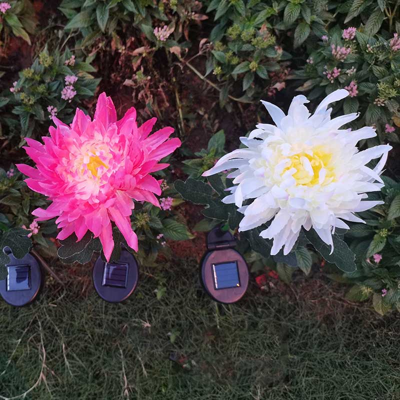 Garden solar flower lamp