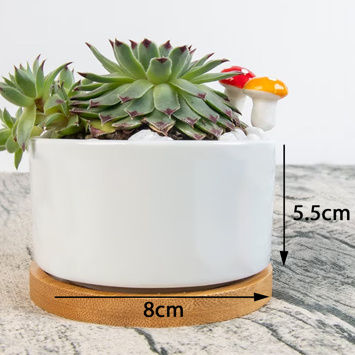 Ceramic Double Side Printing Flowerpot